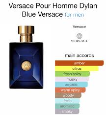 Versace Pour Homme Dylan Blue Sample